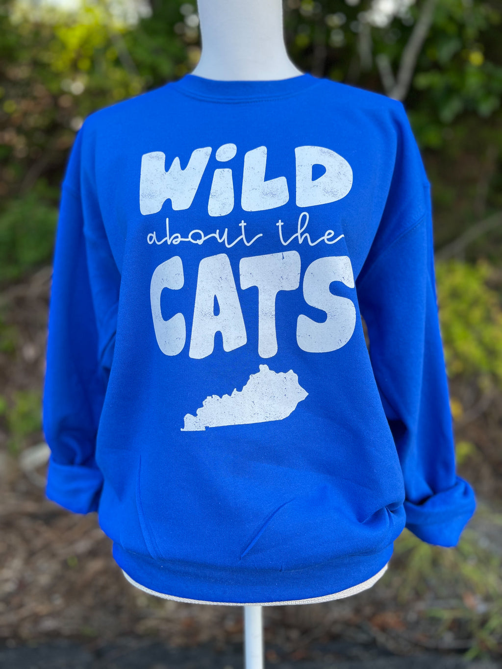 Wild about royal sweatshirt