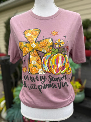 Dusty Pink t-shirt with colorful pumpkins and text that says "In every season i will praise him." on a mannequin against a blurred outdoor background.
