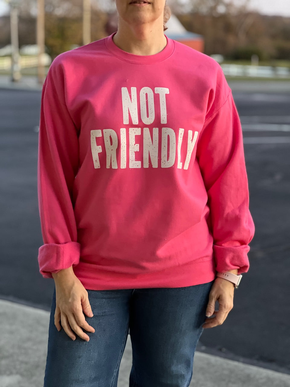 Not Friendly Sweatshirt