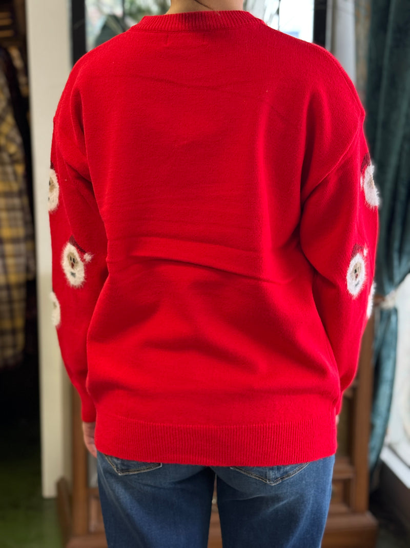 red Santa sweater