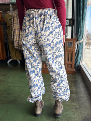 blue and white ski pants G1